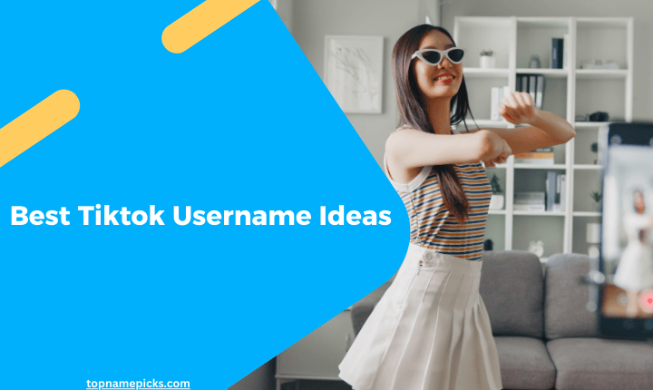 Best Tiktok Username Ideas