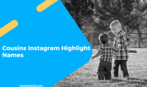 Cousins Instagram Highlight Names