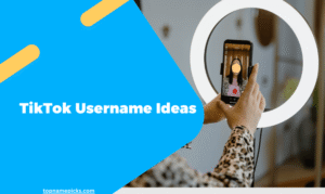 TikTok Username Ideas