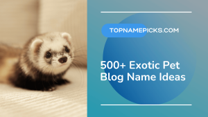Exotic Pet Blog Name Ideas