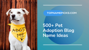 Pet Adoption Blog Name Ideas